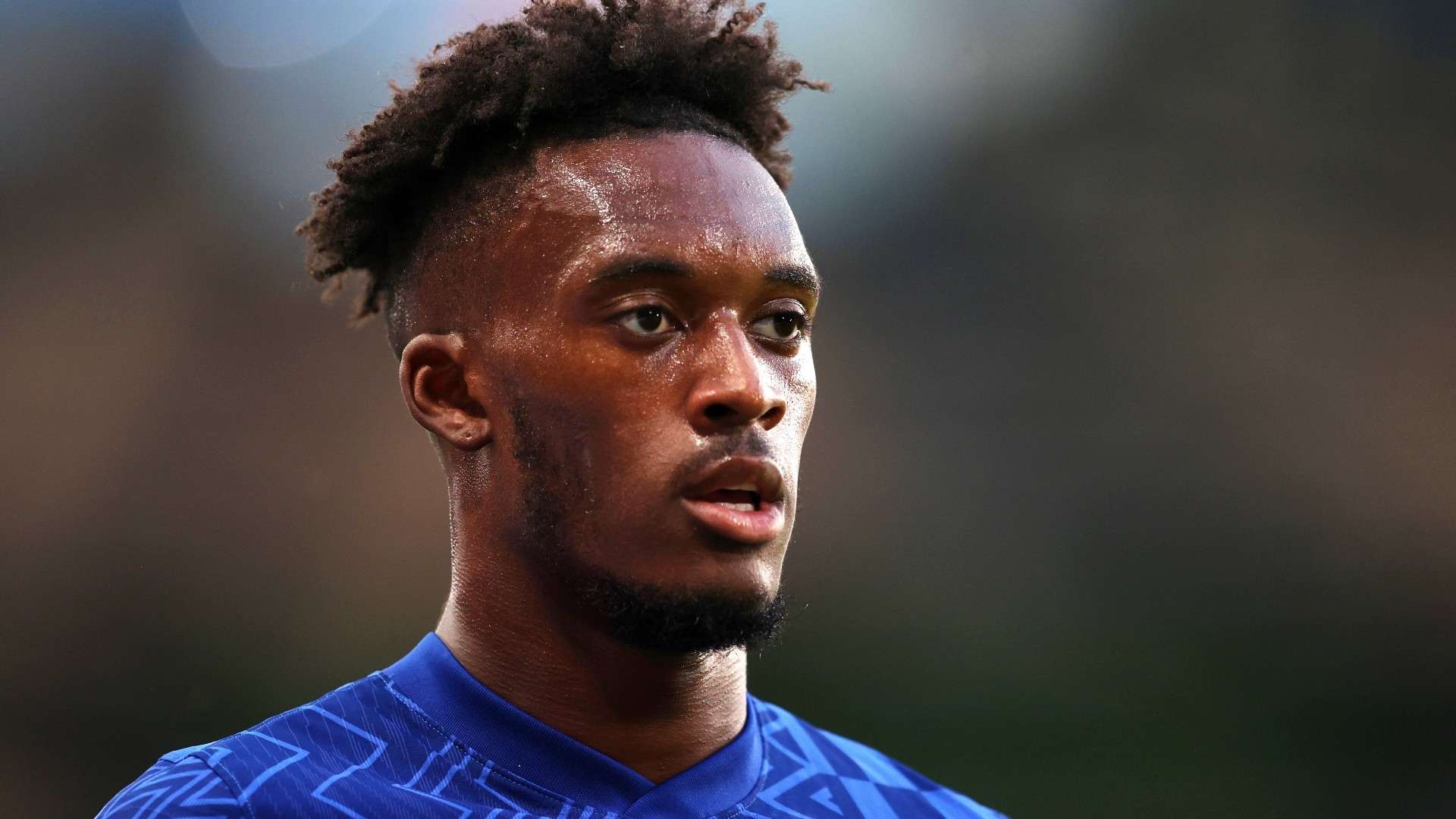 为体验这一 为体验这一