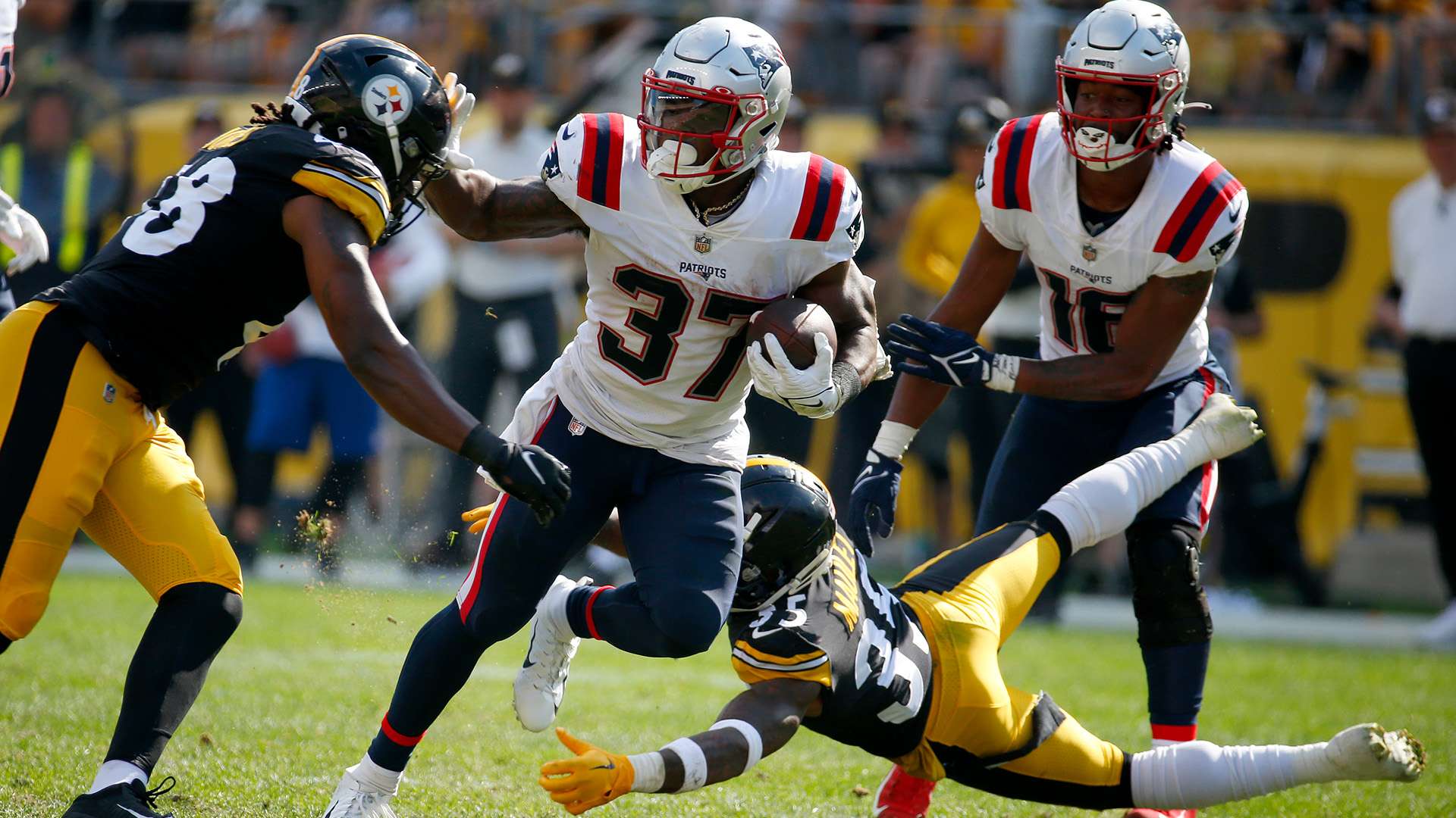 哈兰德始终 哈兰德始终